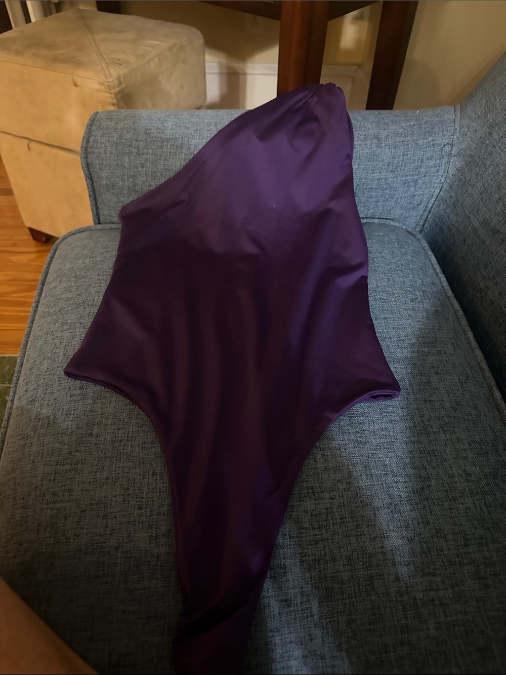 Amazon Women's Purple One-Piece Bodysuit